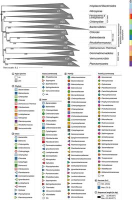 Frontiers Analysis of 1 000 Type Strain Genomes Improves